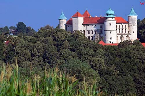 Zamek w Nowym Wiśniczu, małopolska